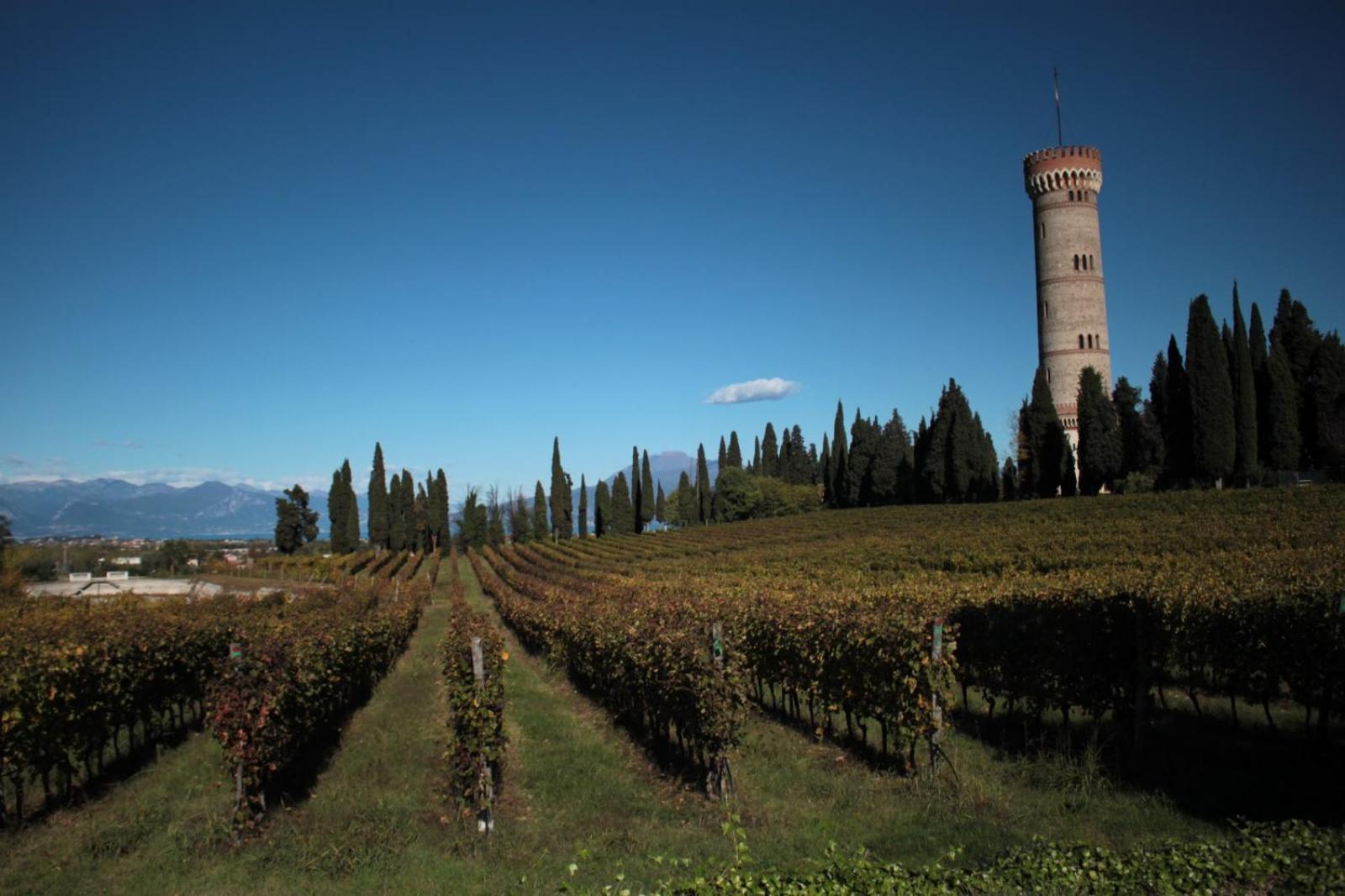 Casa Lorena Desenzano del Garda Zewnętrze zdjęcie